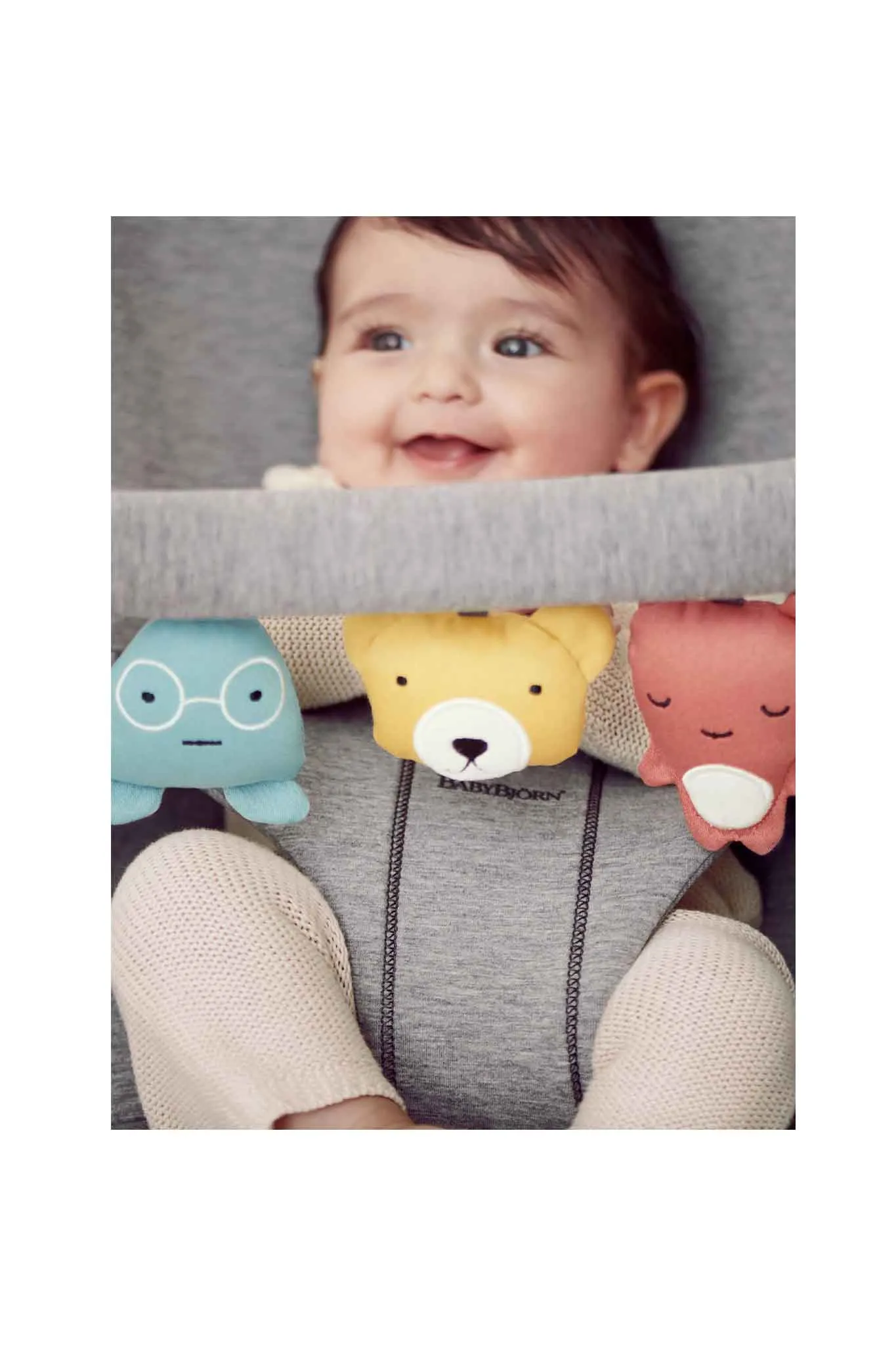 BabyBjorn Accessories For Bouncer Toy