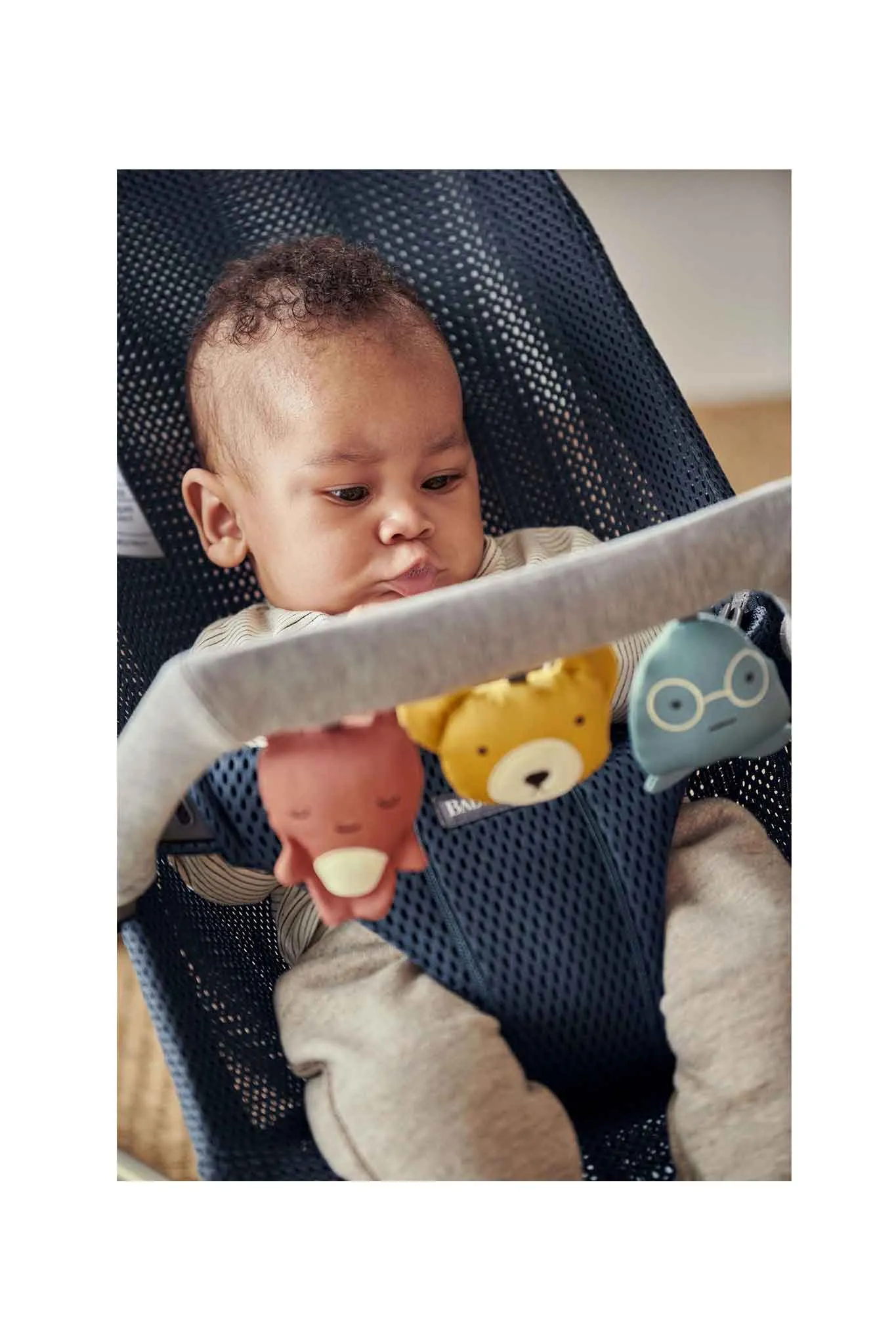 BabyBjorn Accessories For Bouncer Toy