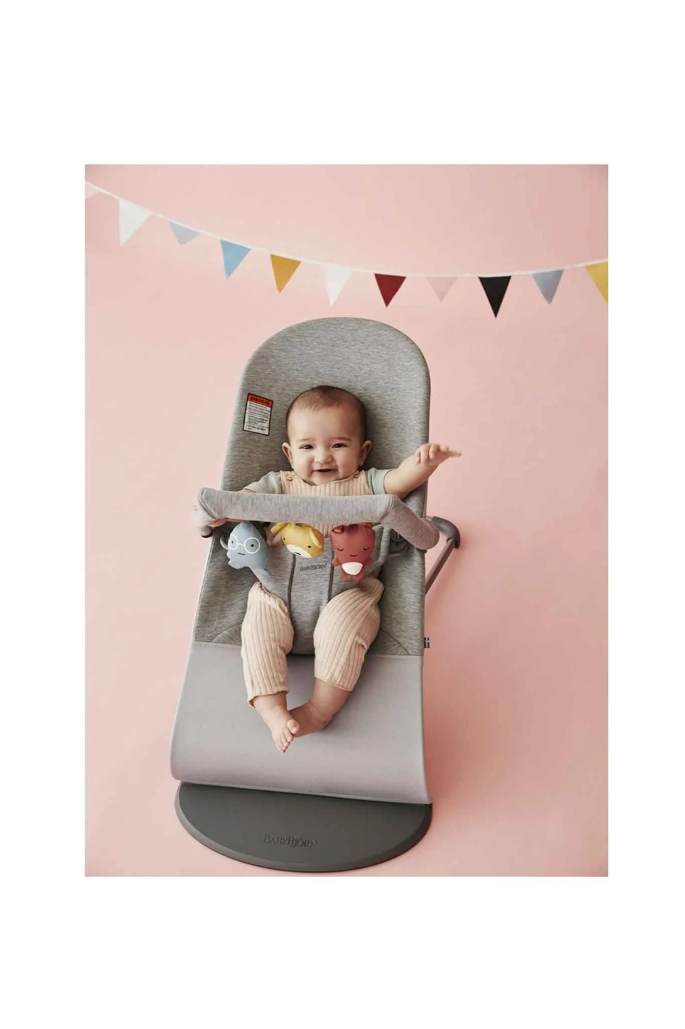 BabyBjorn Accessories For Bouncer Toy