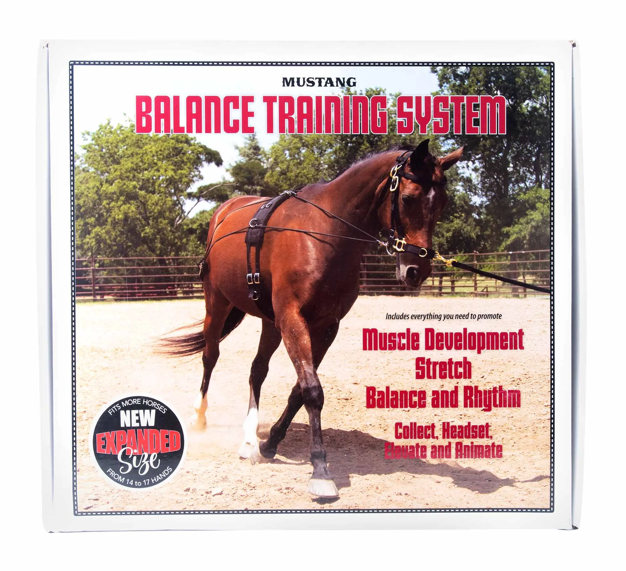 Balanced Training Set