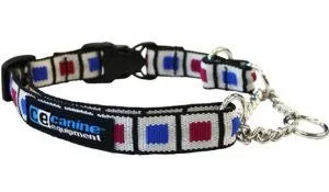 Canine Equipment Martingale Collar - Picture Frames XL SALE