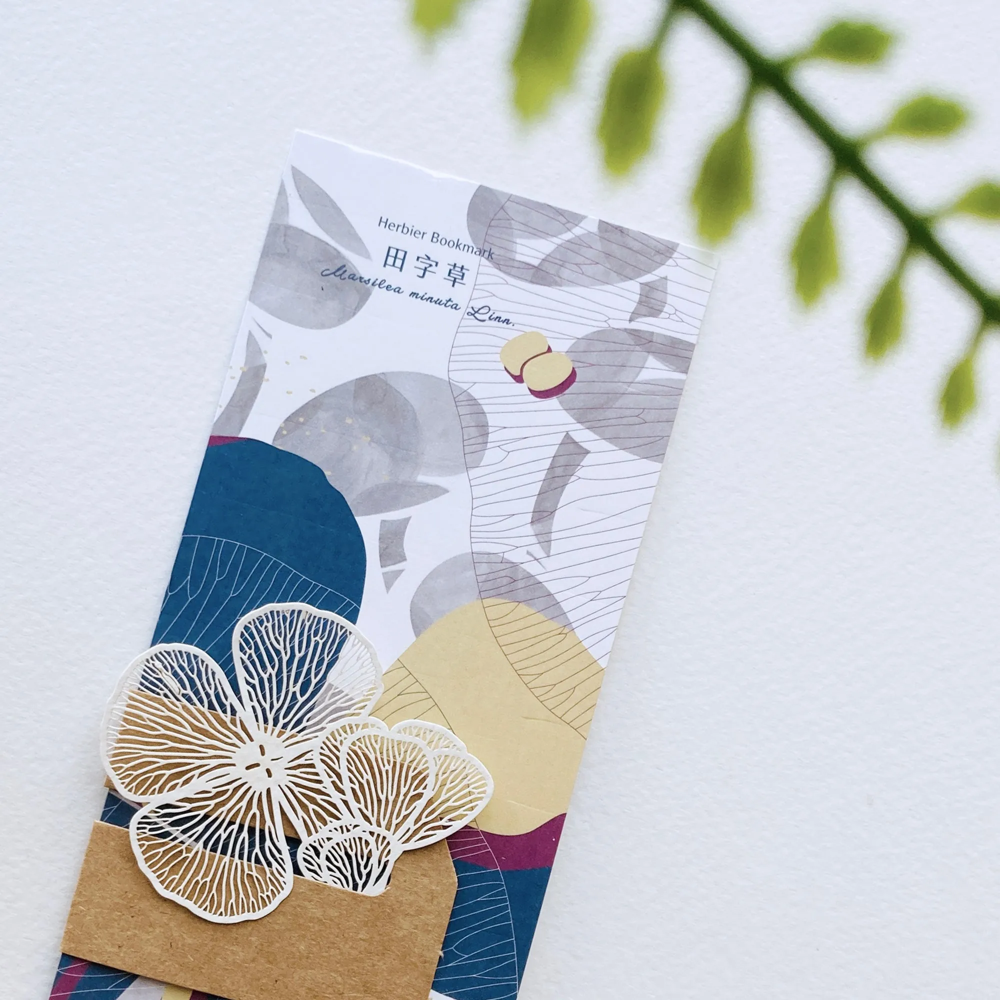 FERN ONLY: Fern Herbier Papercraft Series