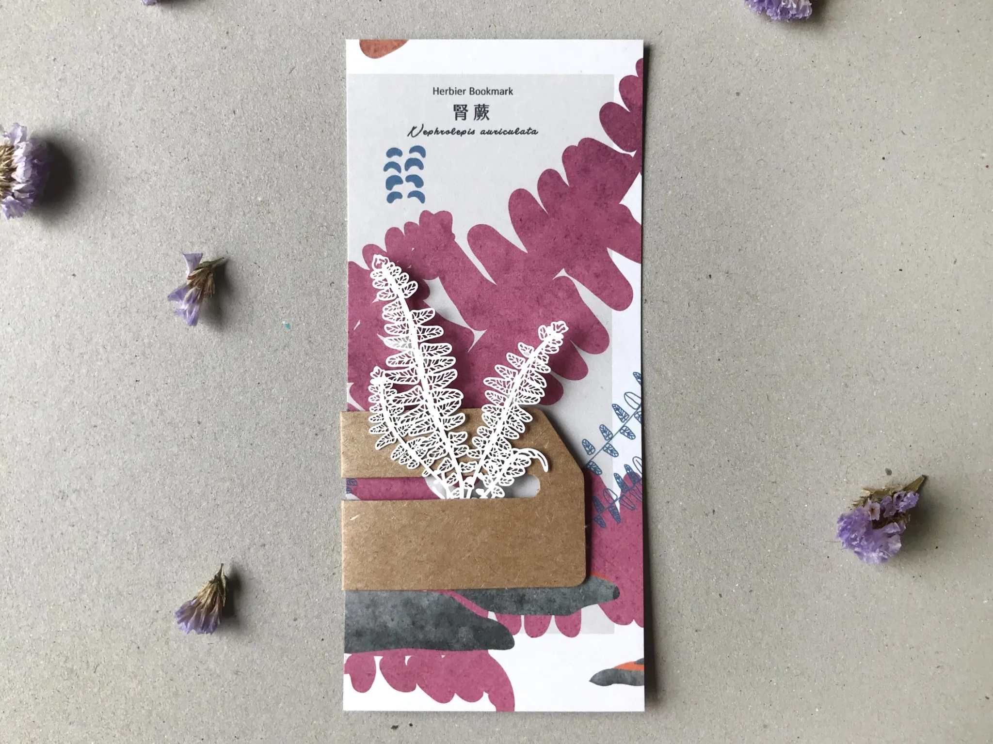 FERN ONLY: Fern Herbier Papercraft Series