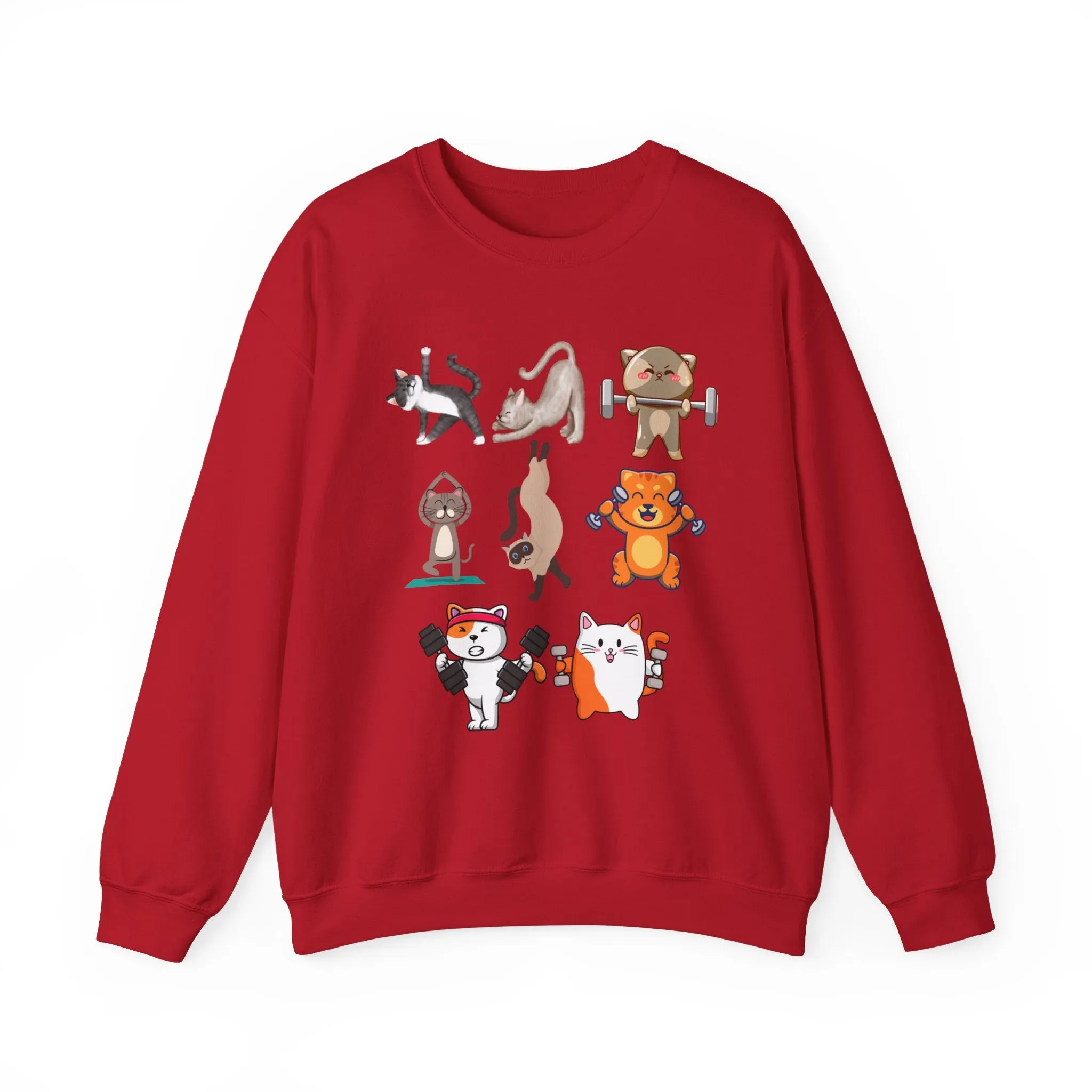 Funny Cat Pullover for Cat Lover gift for Fitness Lover gift for Gym Lover Cats Working out Sweat Shirt