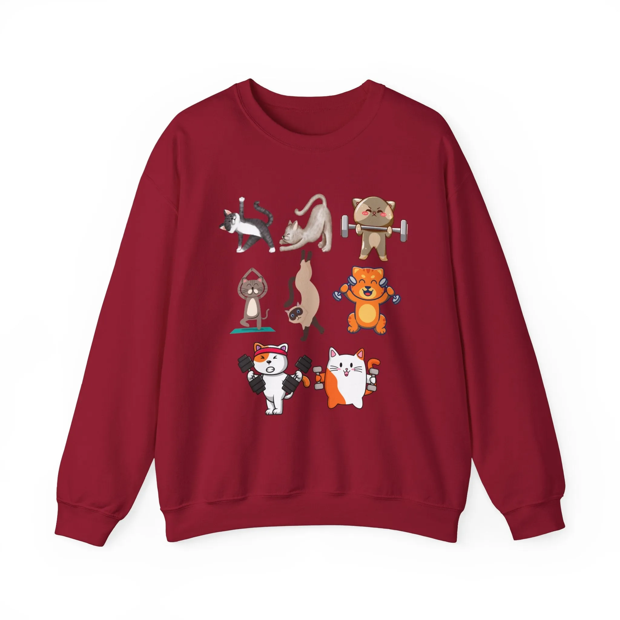 Funny Cat Pullover for Cat Lover gift for Fitness Lover gift for Gym Lover Cats Working out Sweat Shirt