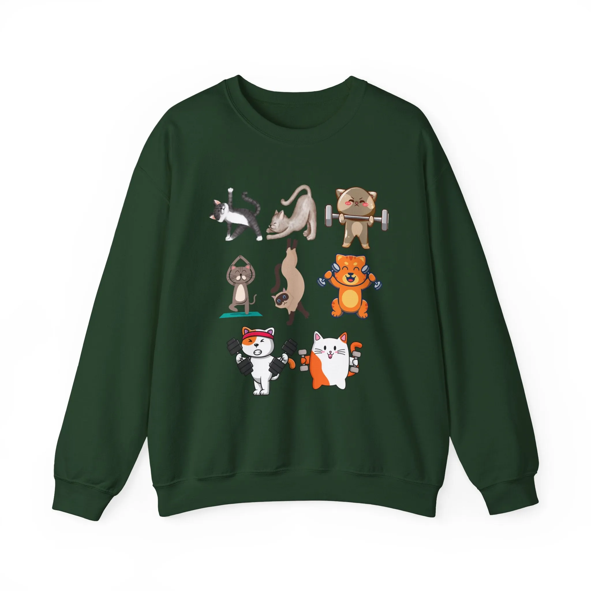 Funny Cat Pullover for Cat Lover gift for Fitness Lover gift for Gym Lover Cats Working out Sweat Shirt