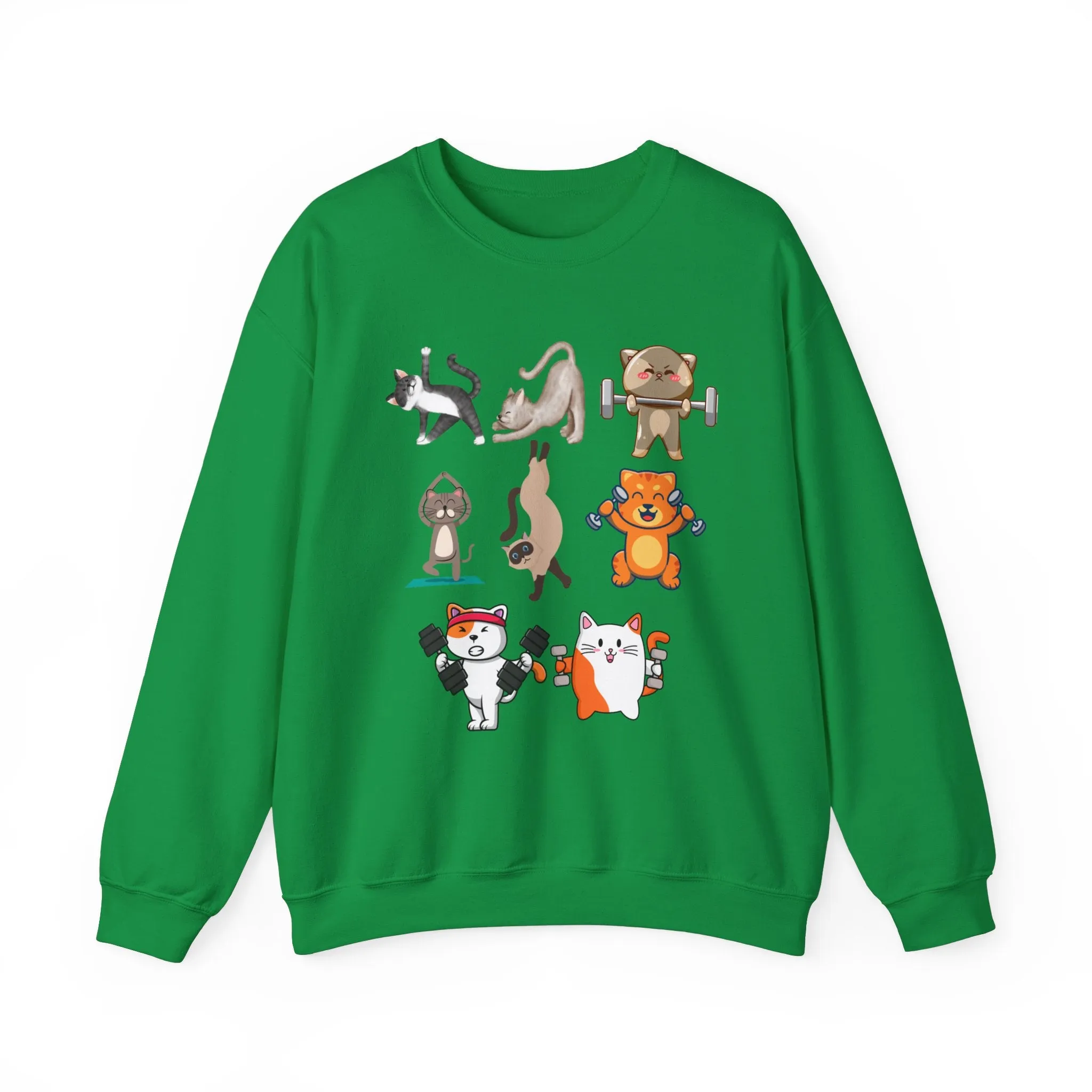 Funny Cat Pullover for Cat Lover gift for Fitness Lover gift for Gym Lover Cats Working out Sweat Shirt