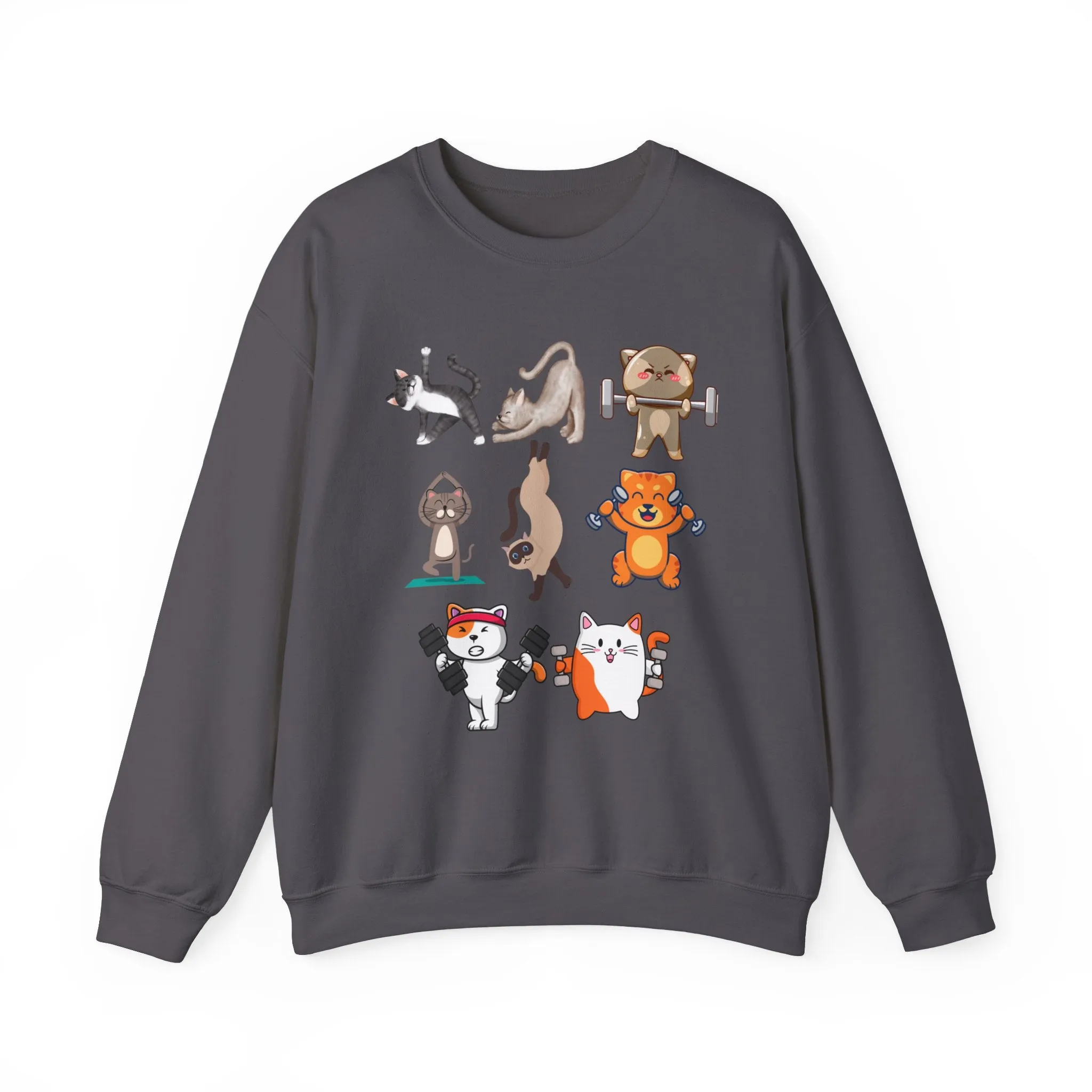 Funny Cat Pullover for Cat Lover gift for Fitness Lover gift for Gym Lover Cats Working out Sweat Shirt