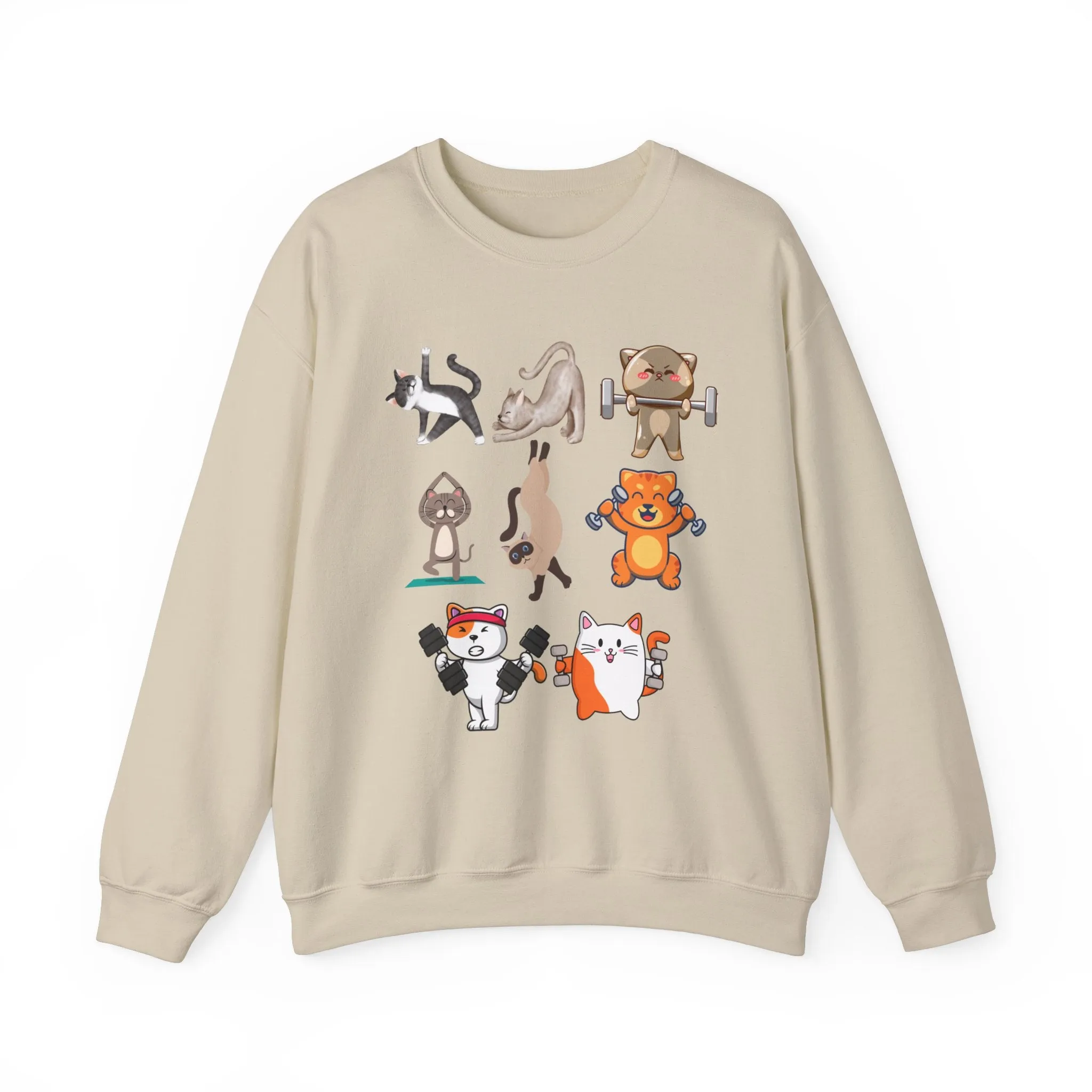 Funny Cat Pullover for Cat Lover gift for Fitness Lover gift for Gym Lover Cats Working out Sweat Shirt