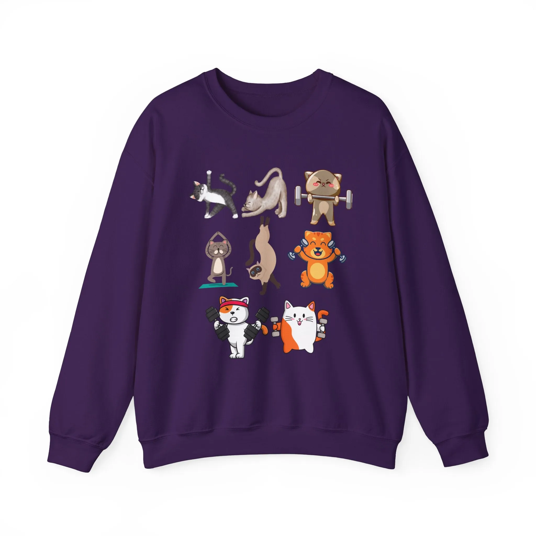 Funny Cat Pullover for Cat Lover gift for Fitness Lover gift for Gym Lover Cats Working out Sweat Shirt