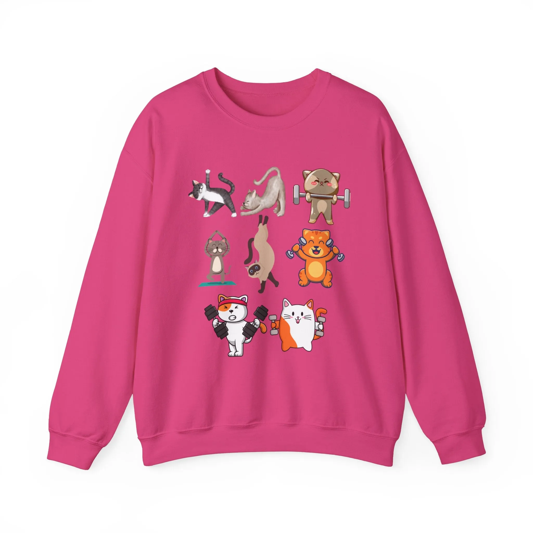 Funny Cat Pullover for Cat Lover gift for Fitness Lover gift for Gym Lover Cats Working out Sweat Shirt