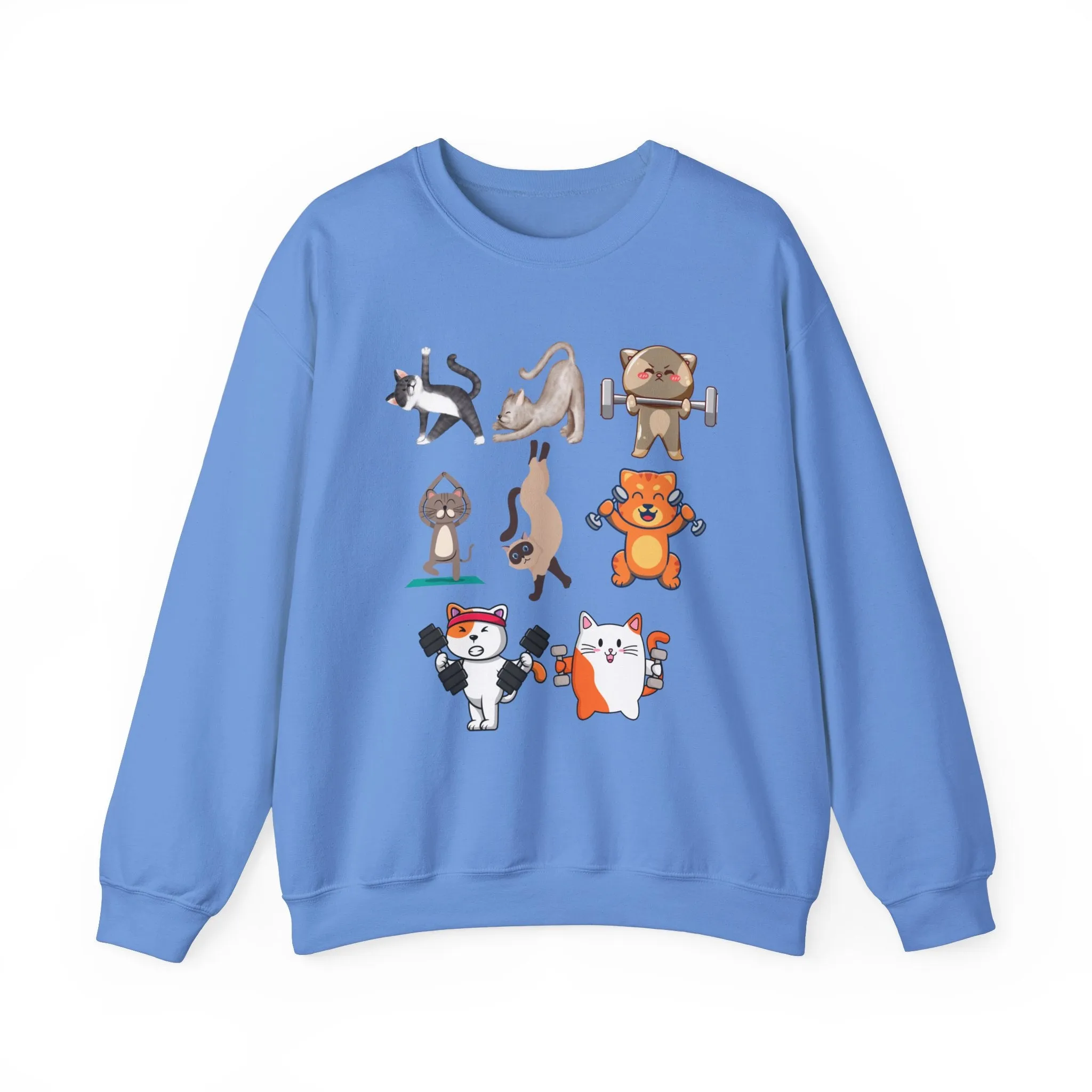 Funny Cat Pullover for Cat Lover gift for Fitness Lover gift for Gym Lover Cats Working out Sweat Shirt
