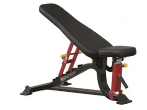 New Sterling Flat Incline Decline Multi Adjustable Bench
