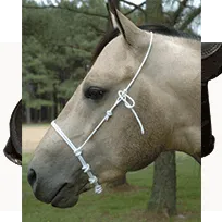 Rope Noseband