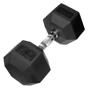 Rubber Hex Dumbbell - 50 lb