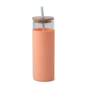 Tumbler with Straw (Mint   Peach)